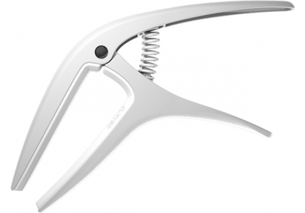 ERNIE BALL - AEB 9616 wit Capo