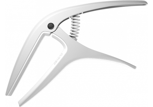 ERNIE BALL - AEB 9616 wit Capo