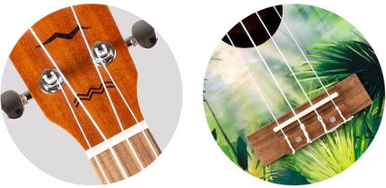 Flight Concert Uke AUC-33 Jungle Spruce/Sapele