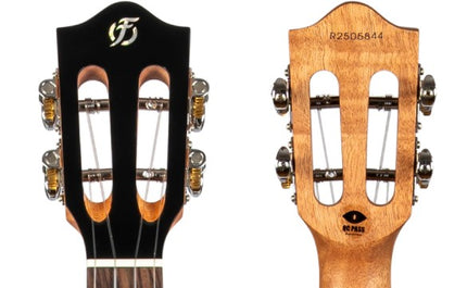Flight IRIS TINTA CONCERT Solid Mahogany Concert Uke