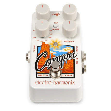 Electro-Harmonix CANYON Multi Delay en Looper met Tap tempo/divisie
