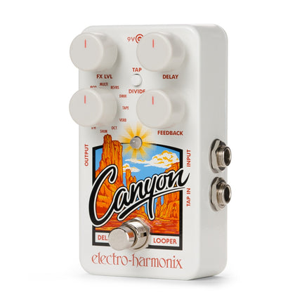 Electro-Harmonix CANYON Multi Delay en Looper met Tap tempo/divisie
