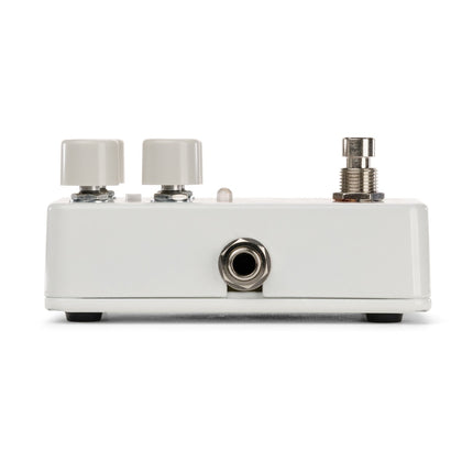 Electro-Harmonix CANYON Multi Delay en Looper met Tap tempo/divisie