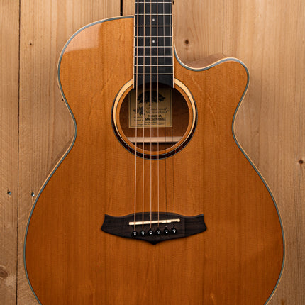 Tanglewood Winterleaf TW4 CE NA