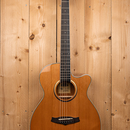 Tanglewood Winterleaf TW4 CE NA