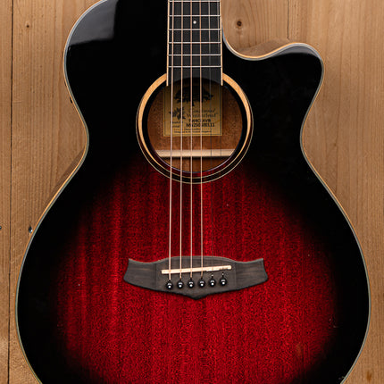 Tanglewood Winterleaf TW4 CE AVB
