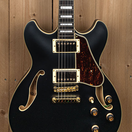 Ibanez Hollow Body Gitaar AS73G-BKF