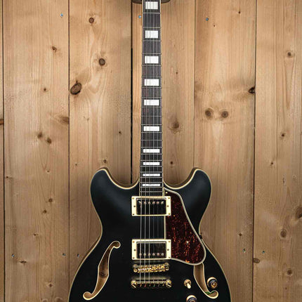 Ibanez Hollow Body Gitaar AS73G-BKF