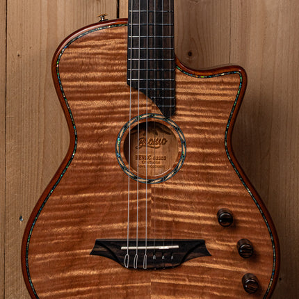 Bromo Fusion Craft Series hollow body solid electric nylon guitar BEN2C
