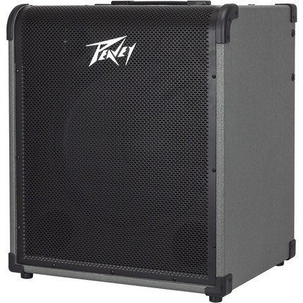 Peavey MAX 250 Basversterker