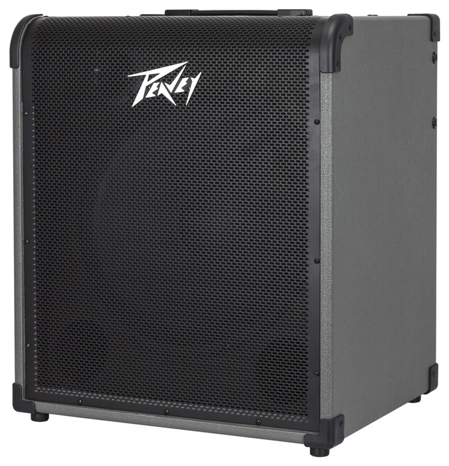 Peavey MAX 250 Basversterker