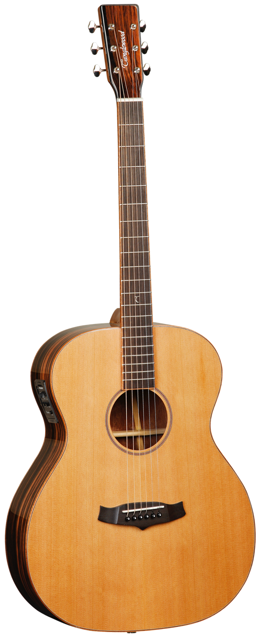 Exotic Java JF E akoestische gitaar
