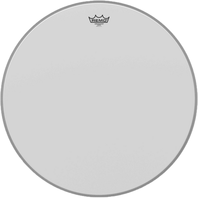 24'' Remo Ambassador coated
