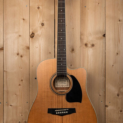 Ibanez PF17ECE-LG Akoestische Gitaar