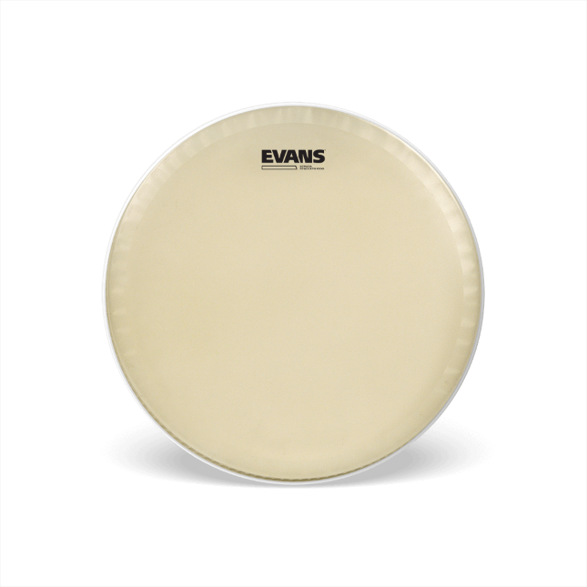 14'' Evans Strato Staccato 1000