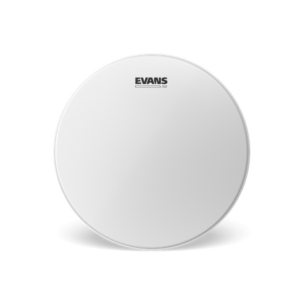13'' Evans G2 Coated