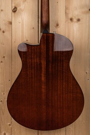 Ibanez AAM300CE-NT akoestische gitaar