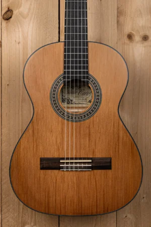 _DSC3791-2 Salvador Cortez CC-06-JR Akoestische Gitaar