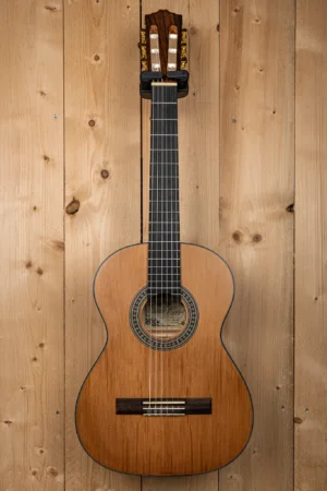 _DSC3791 Salvador Cortez CC-06-JR Akoestische Gitaar