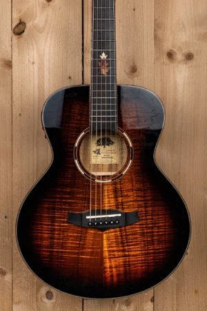 Tanglewood Winterleaf TWX1EK Akoestische Gitaar