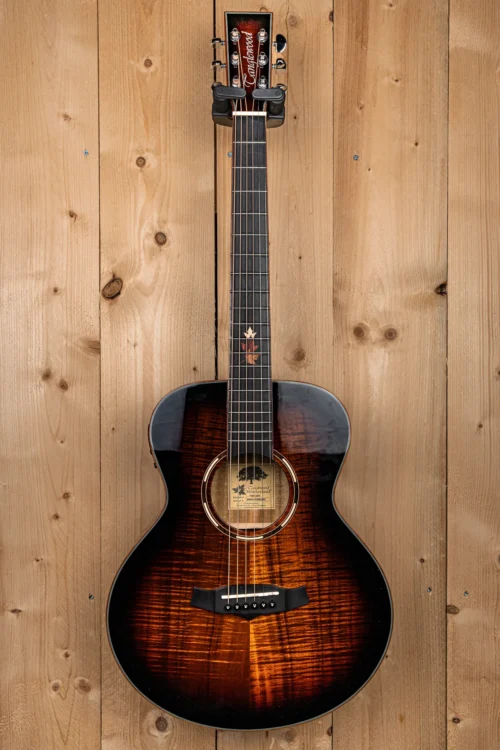 Tanglewood Winterleaf TWX1EK Akoestische Gitaar