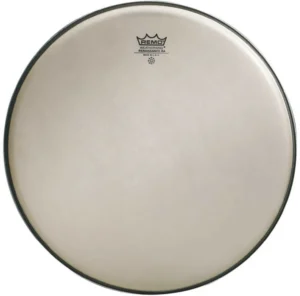 14'' Remo Ambassador renaissance