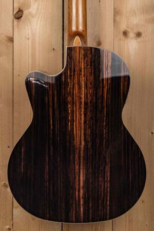 Juan Salvador 6CE - Premium Klassieke Gitaar met Versterking