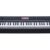 Medeli Performer Series digital compact stage piano SP-A500/BK