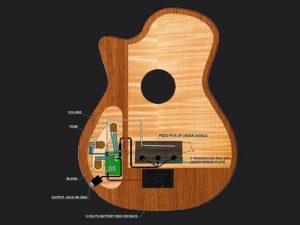 Bromo Fusion Craft Series hollow body solid electric nylon guitar BEN2C