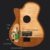 Bromo Fusion Craft Series hollow body solid electric nylon guitar BEN2C/TBK