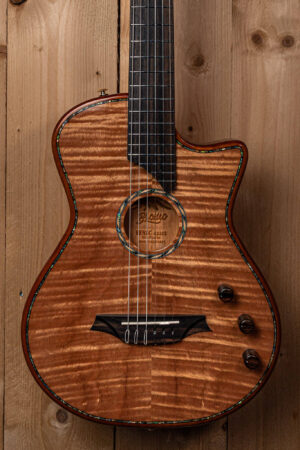 Bromo Fusion Craft Series hollow body solid electric nylon guitar BEN2C