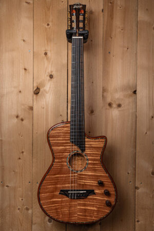 Bromo Fusion Craft Series hollow body solid electric nylon guitar BEN2C