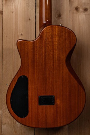 Bromo Fusion Craft Series hollow body solid electric nylon guitar BEN2C