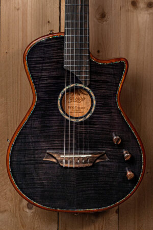 Bromo Fusion Craft Series hollow body solid electric nylon guitar BEN2C/TBK