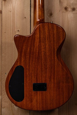 Bromo Fusion Craft Series hollow body solid electric nylon guitar BEN2C/TBK